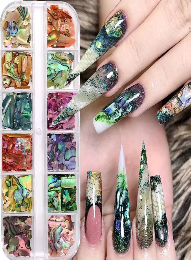BSBTBZ 12Grids Nail Art Aurora Abalone Shell Flakes, Shiny Irregular Sea Shell 3D Charms Summer Slices Holographic Nail Art Sequins Natural Sea Shells Nail Glitters Manicure Paillette Tip Decor Accessories - Image 2